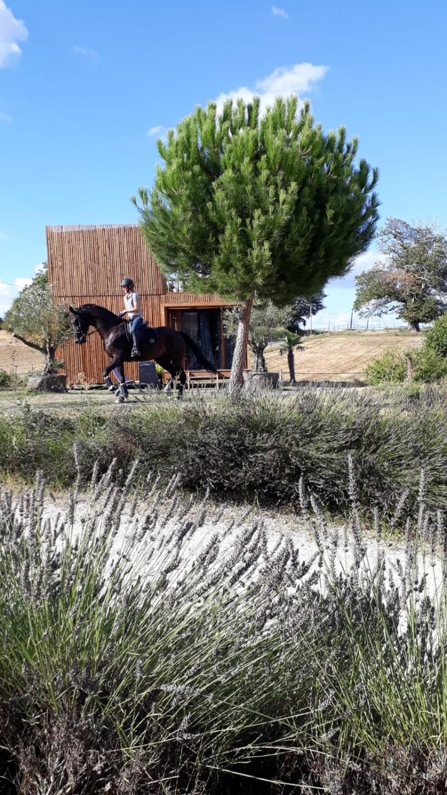 Manege De La Chapiniere - Dadaloge Tiny-House Châteauvieux Exterior foto