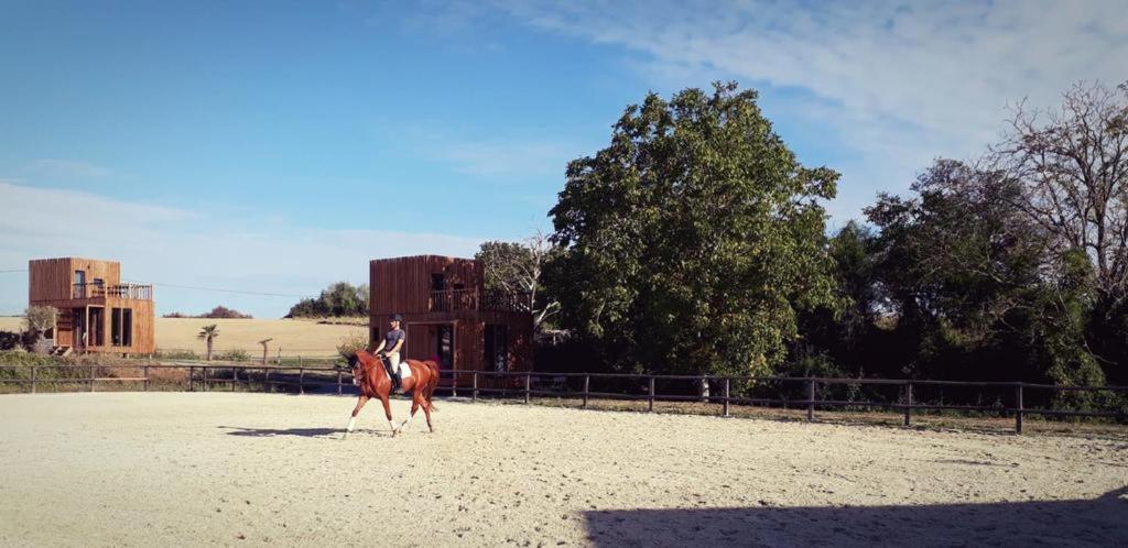 Manege De La Chapiniere - Dadaloge Tiny-House Châteauvieux Exterior foto
