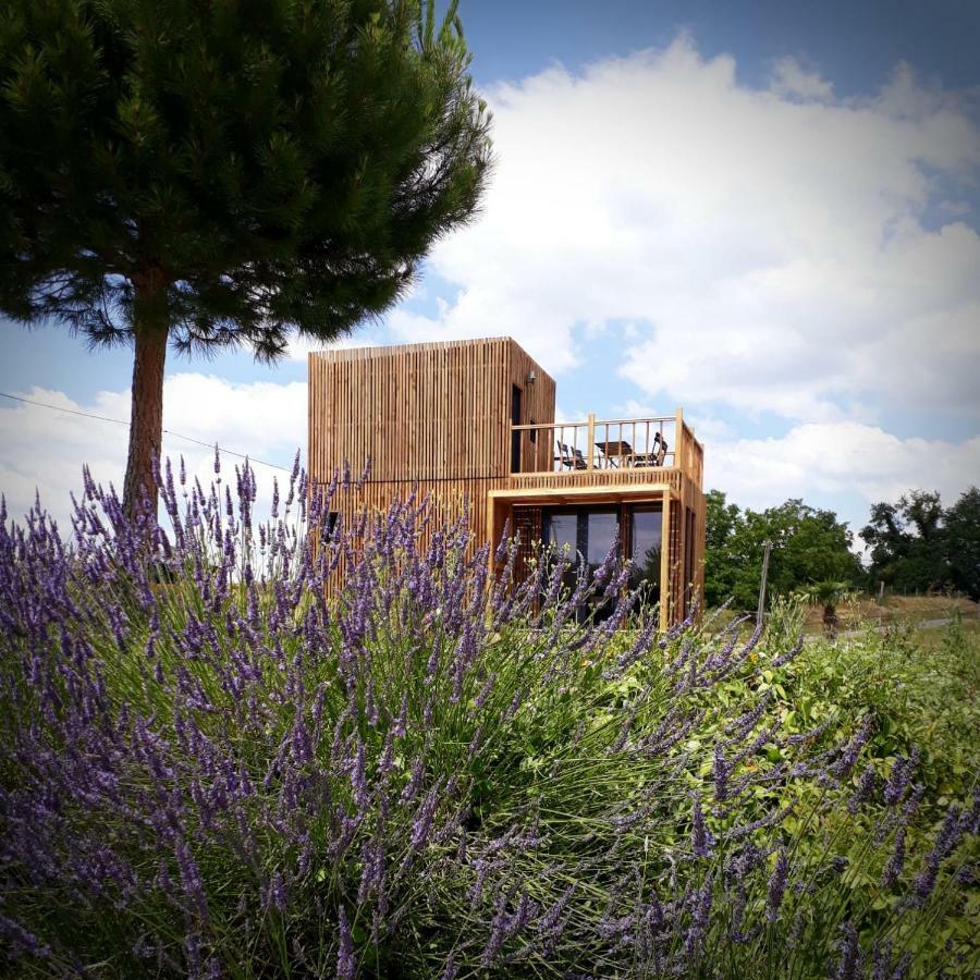 Manege De La Chapiniere - Dadaloge Tiny-House Châteauvieux Exterior foto