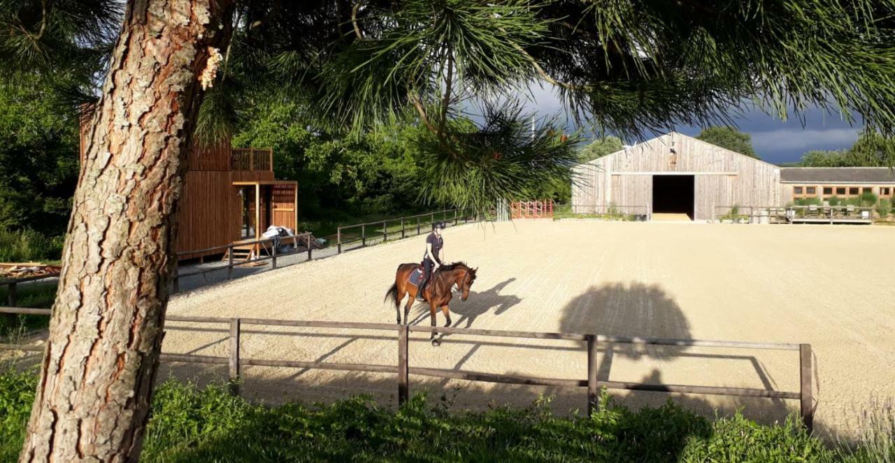 Manege De La Chapiniere - Dadaloge Tiny-House Châteauvieux Exterior foto